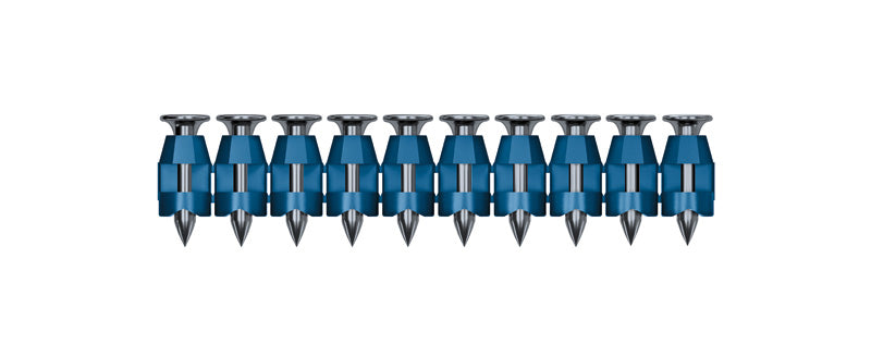 [main image]