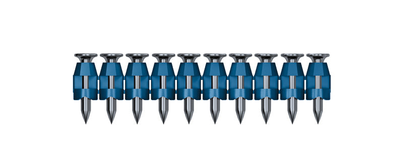 [main image]