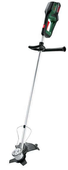 [main image]