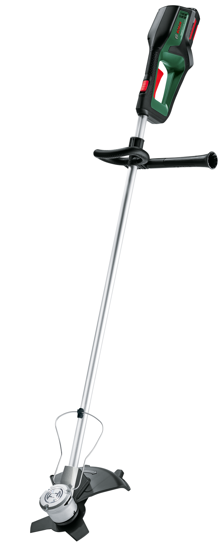 [main image]